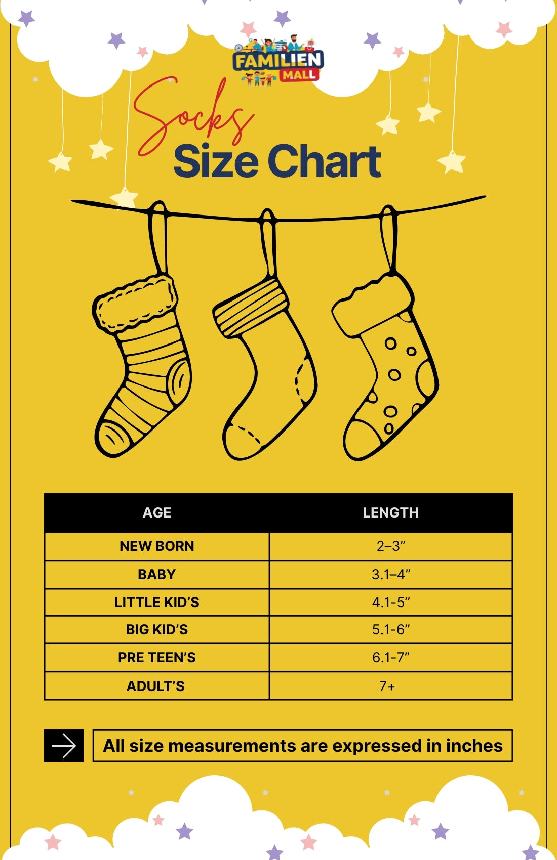 Women's - Fancy Socks - No Show Socks